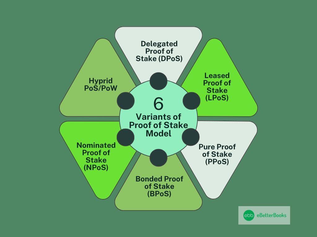 Variants of Proof of Stake Model