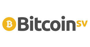 Bitcoin SV (BSV) - A Prominent Cryptocurrency Under $100 in 2025 Bitcoin SV (BSV) with its logo and symbolic blockchain elements, indicating its presence as an affordable cryptocurrency under $100 in 2025.